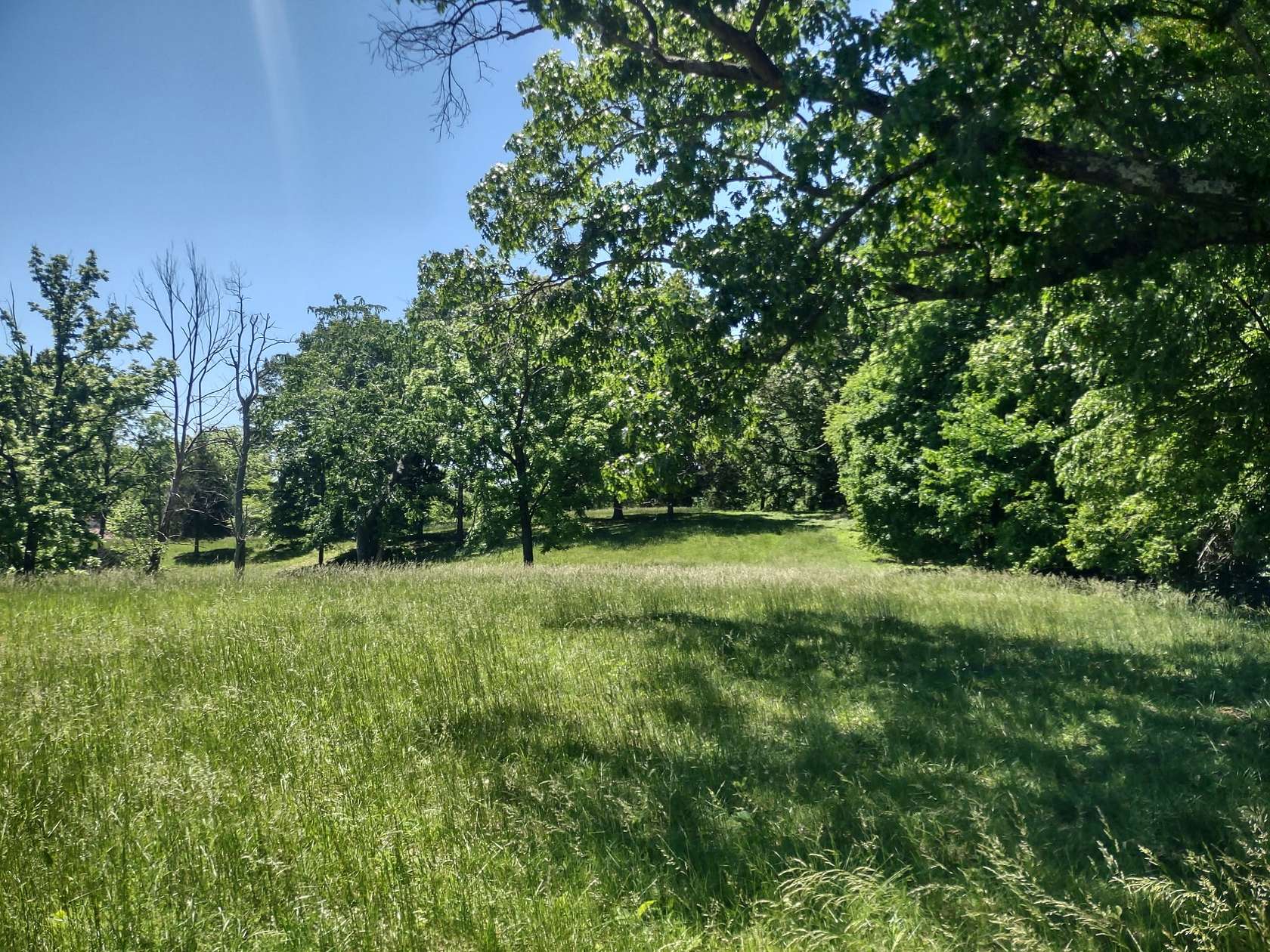 18.6 Acres of Land for Sale in Springfield, Tennessee