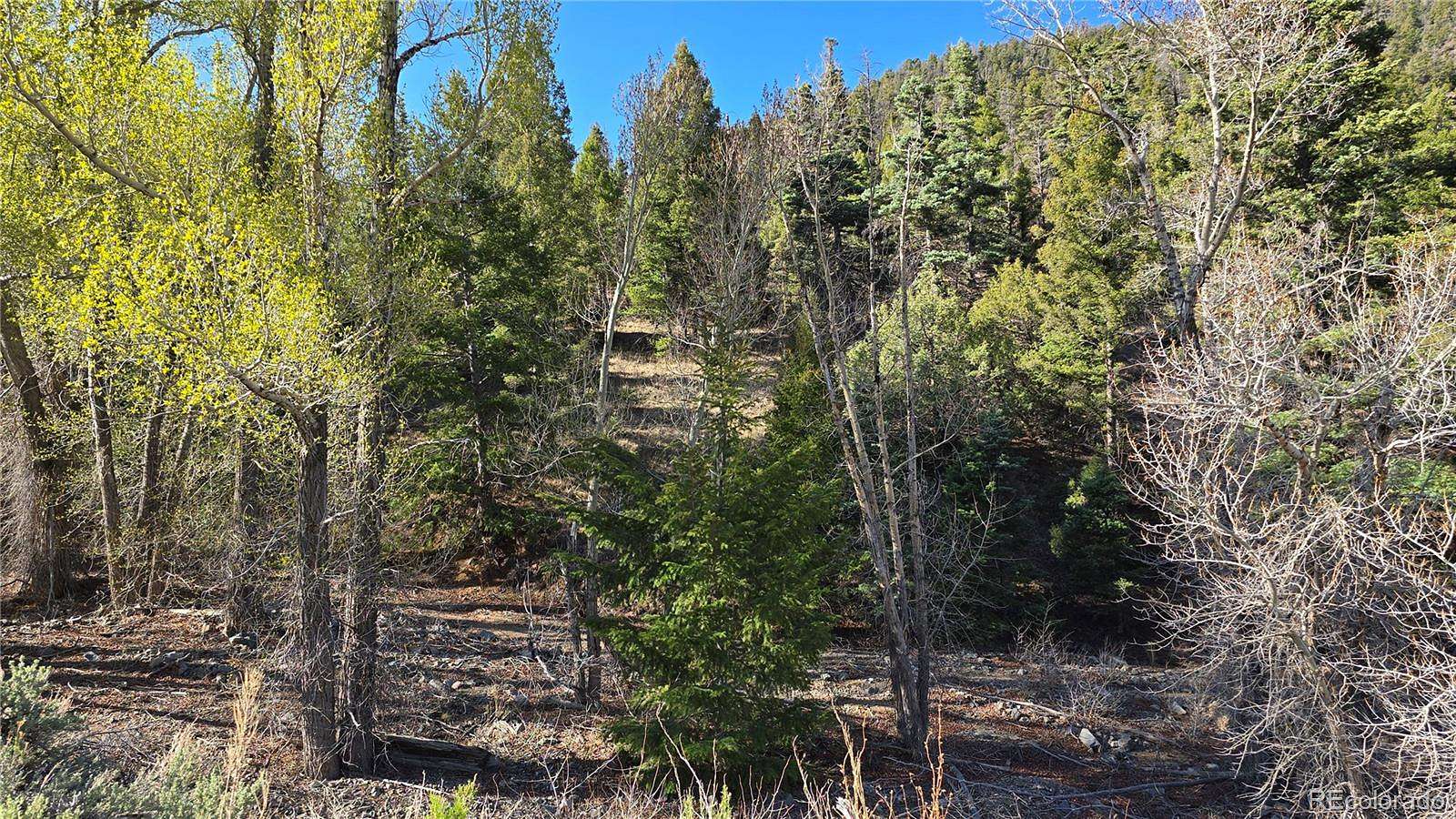 10.3 Acres of Recreational & Residential Land for Sale in Fort Garland, Colorado