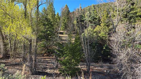 10.3 Acres of Recreational & Residential Land for Sale in Fort Garland, Colorado