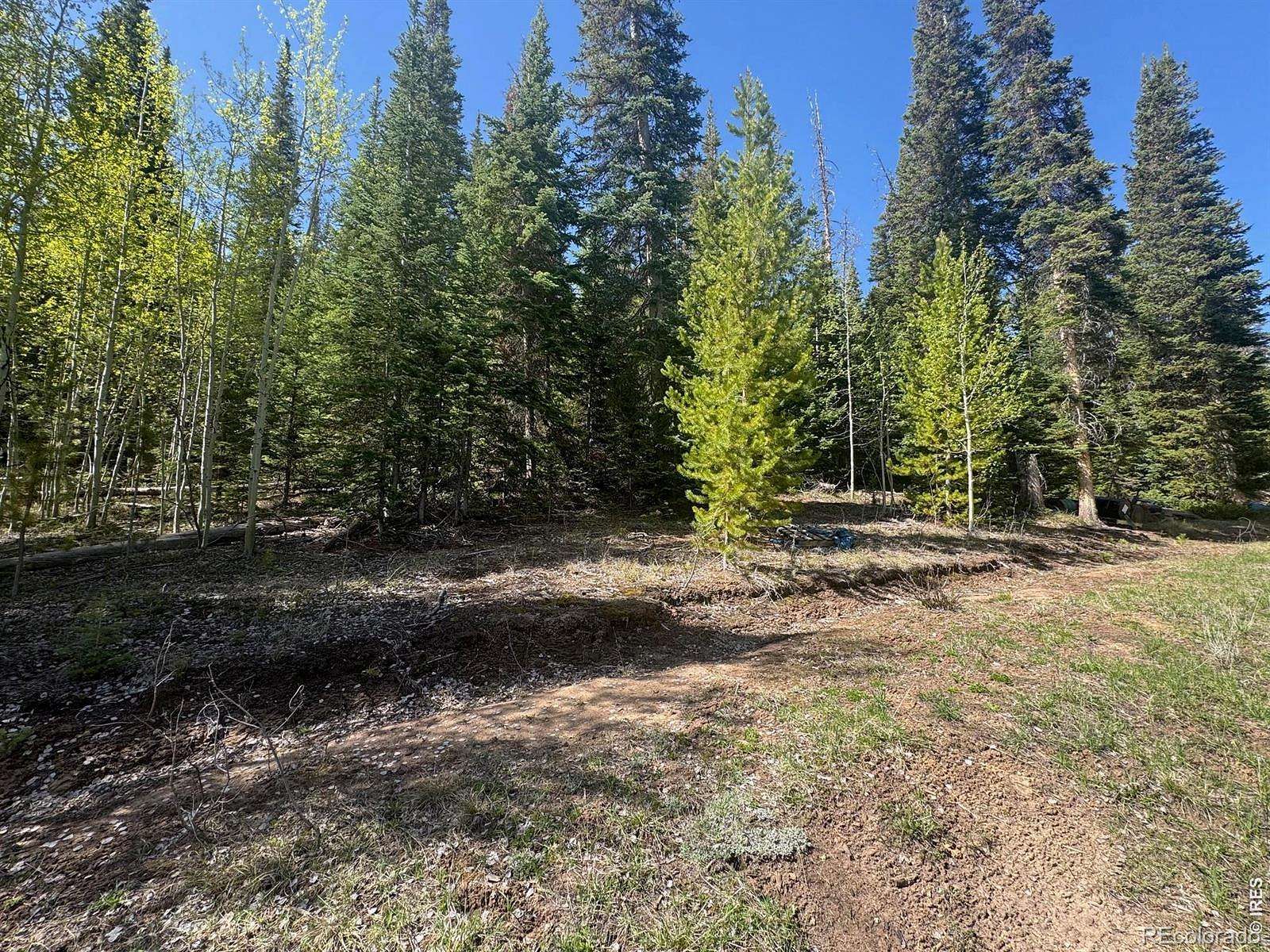 2.5 Acres of Residential Land for Sale in Walden, Colorado