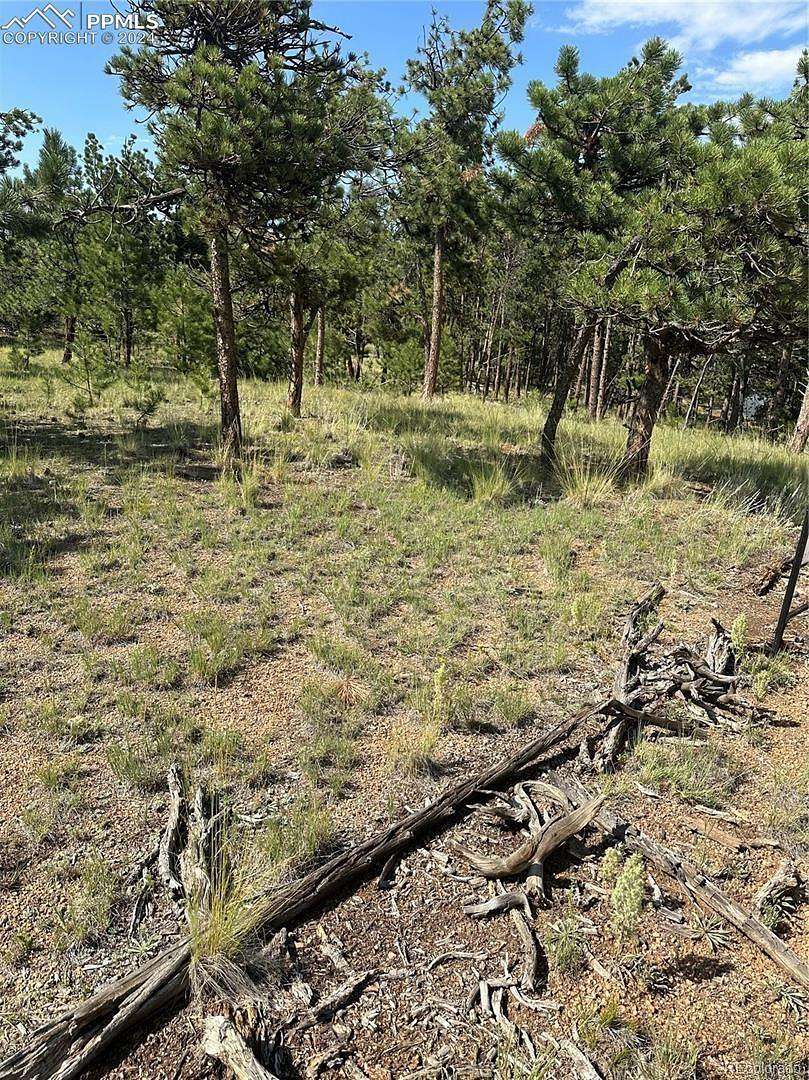 2.45 Acres of Residential Land for Sale in Florissant, Colorado