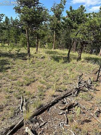 2.45 Acres of Residential Land for Sale in Florissant, Colorado