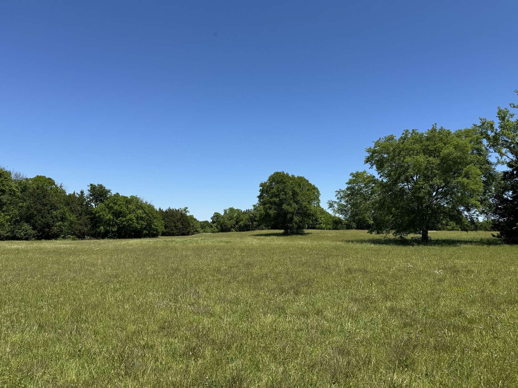 5.72 Acres of Land for Auction in Lebanon, Tennessee