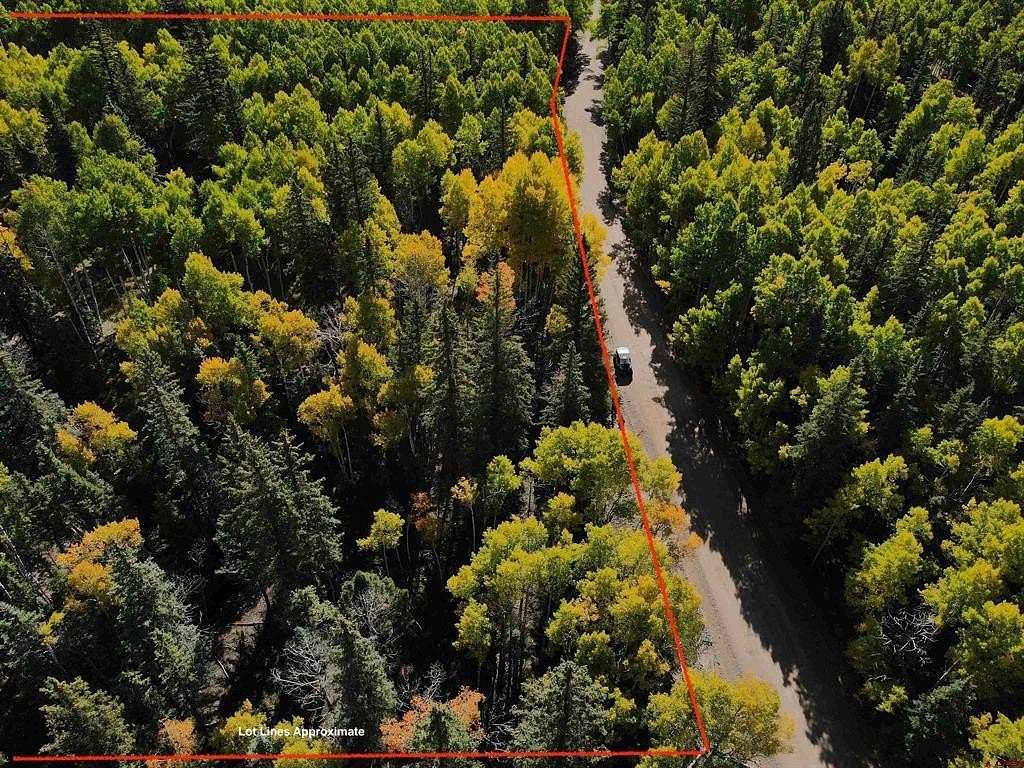 2.55 Acres of Mixed-Use Land for Sale in Jasper, Colorado