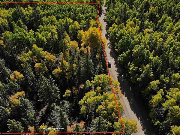 2.55 Acres of Land for Sale in Jasper, Colorado