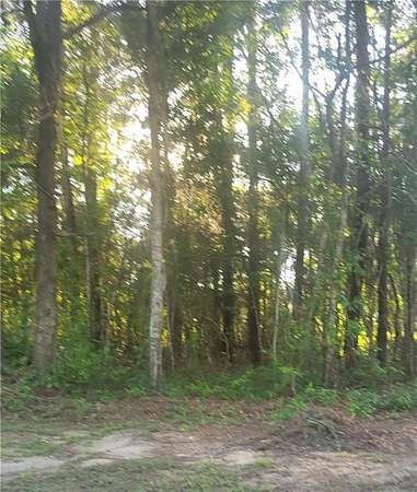 0.33 Acres of Residential Land for Sale in Tuskegee, Alabama