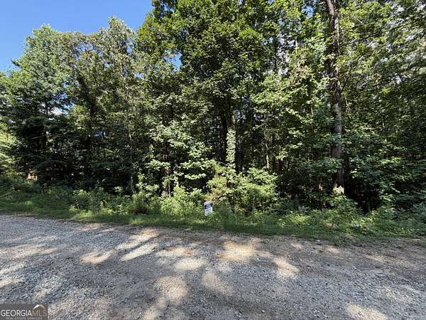 0.35 Acres of Residential Land for Sale in Lavonia, Georgia