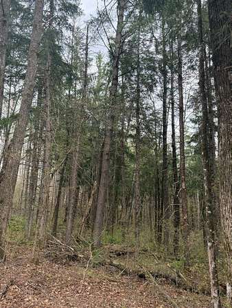 2.12 Acres of Residential Land for Sale in Hayward, Wisconsin