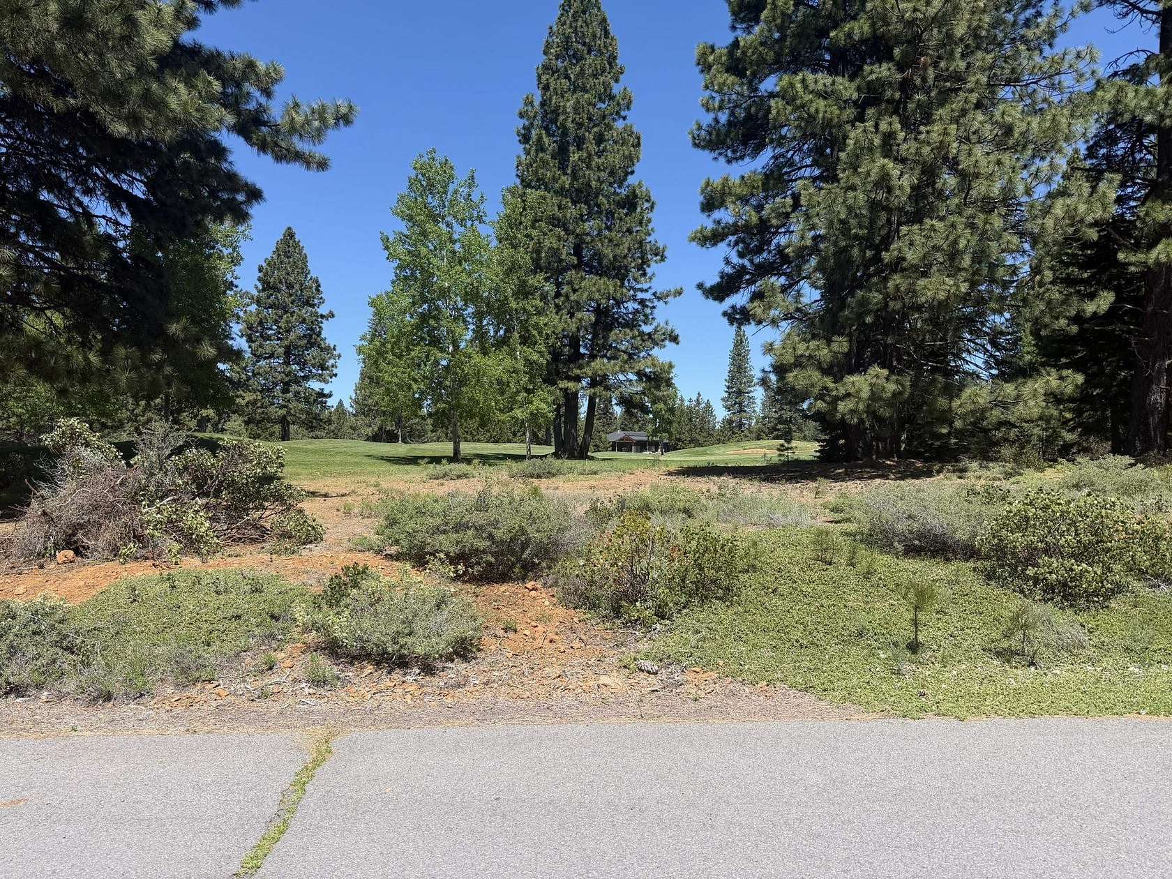 0.31 Acres of Residential Land for Sale in Lake Almanor Peninsula, California