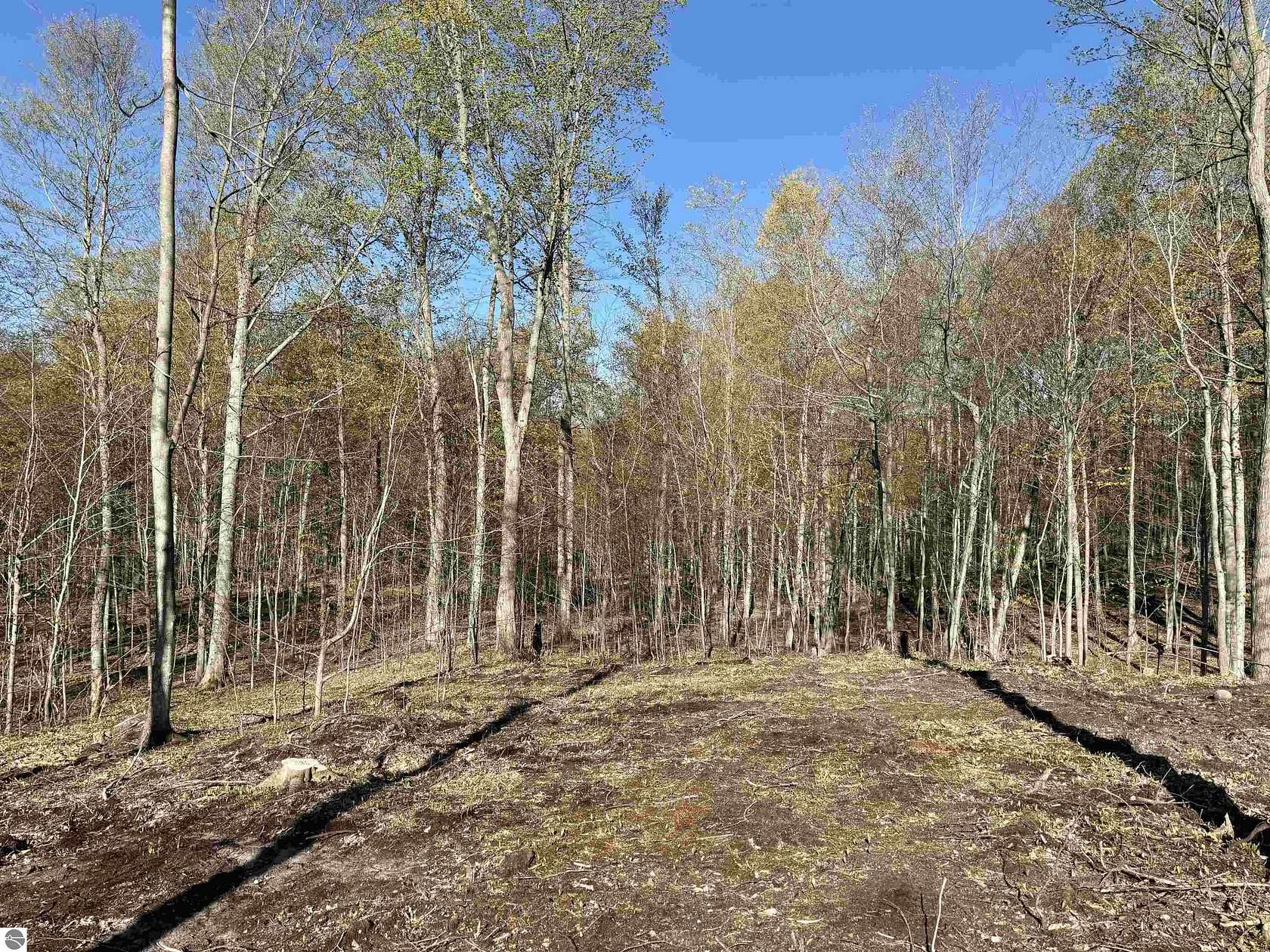 1.15 Acres of Residential Land for Sale in Empire, Michigan