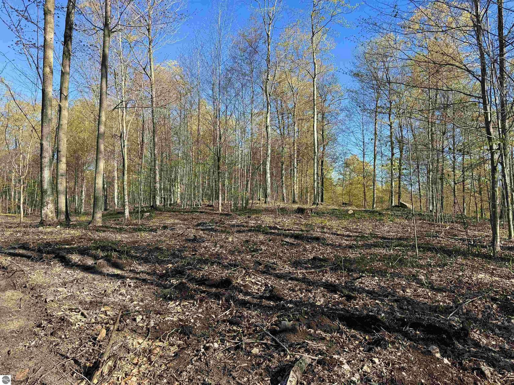 1 Acre of Residential Land for Sale in Empire, Michigan