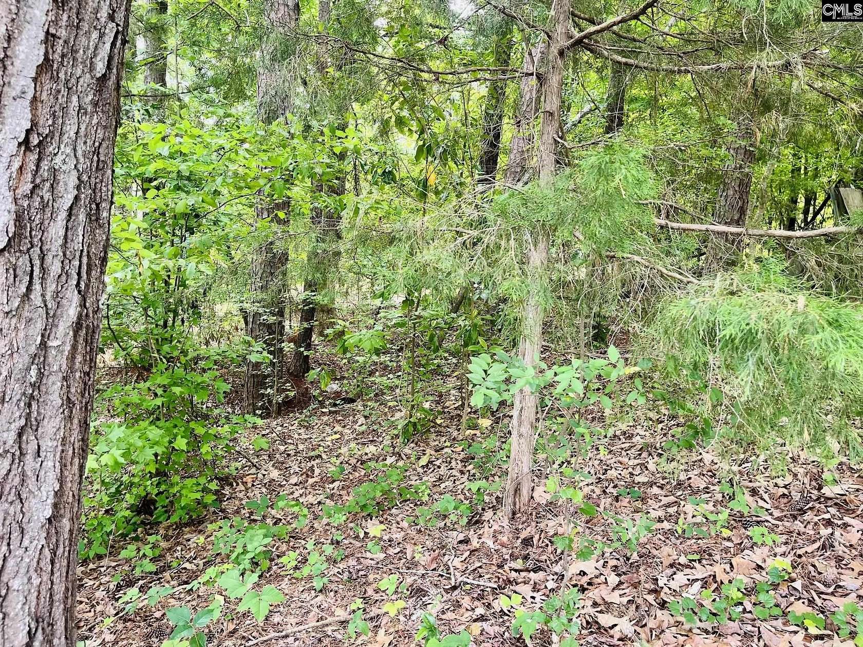 0.22 Acres of Land for Sale in Leesville, South Carolina