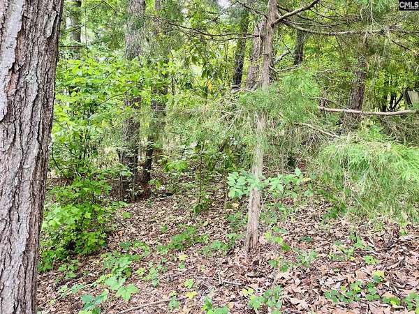 0.22 Acres of Land for Sale in Leesville, South Carolina