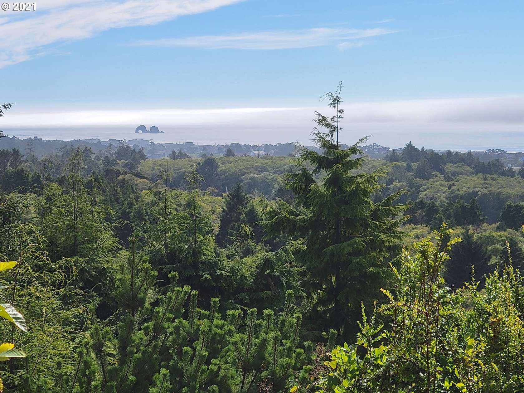 1 Acre of Land for Sale in Manhattan Beach, Oregon