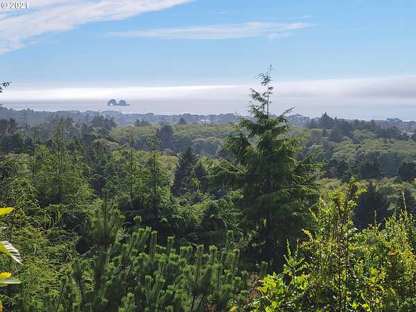 1 Acre of Land for Sale in Manhattan Beach, Oregon