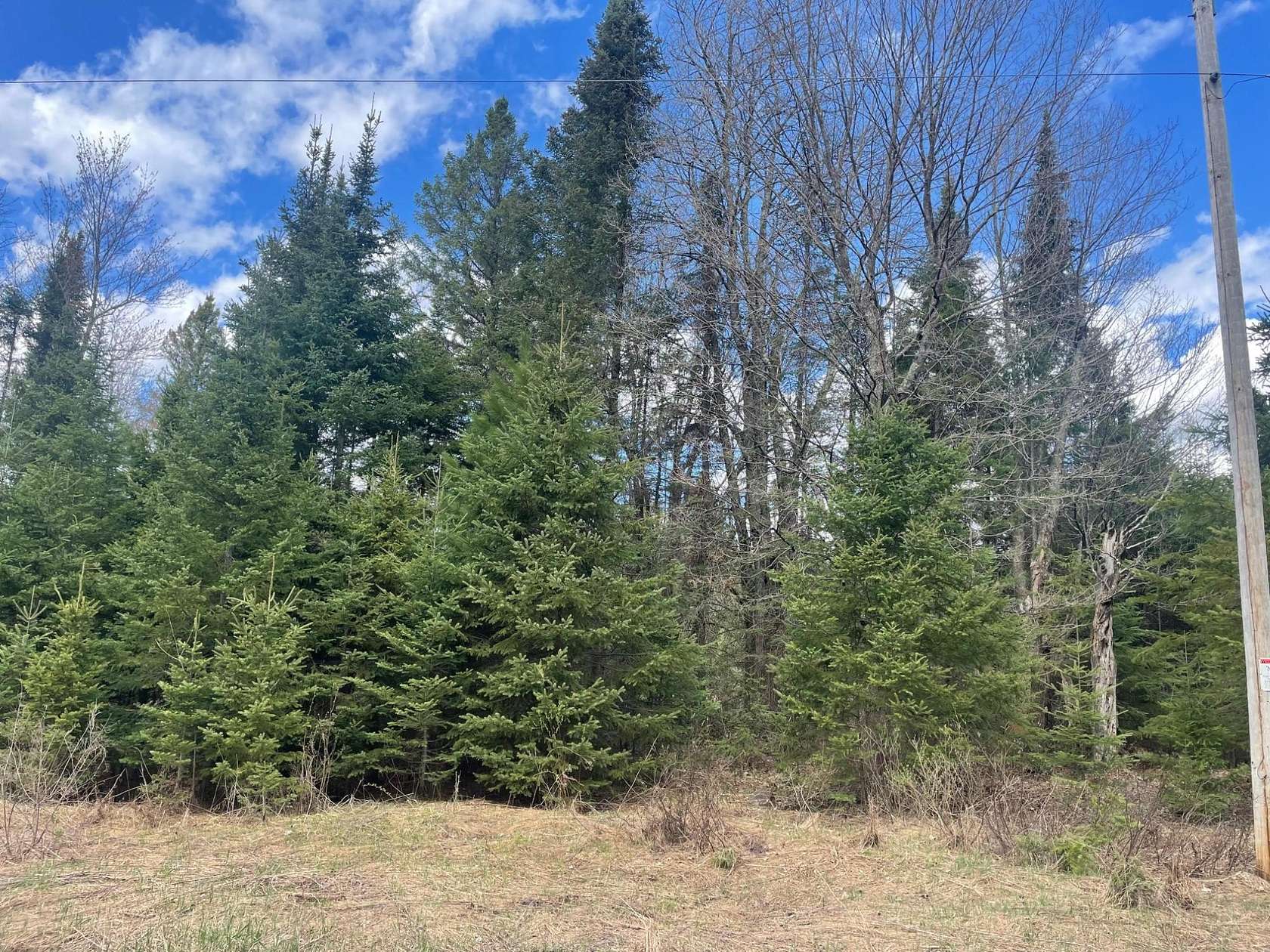 40 Acres of Recreational Land for Sale in Butternut, Wisconsin