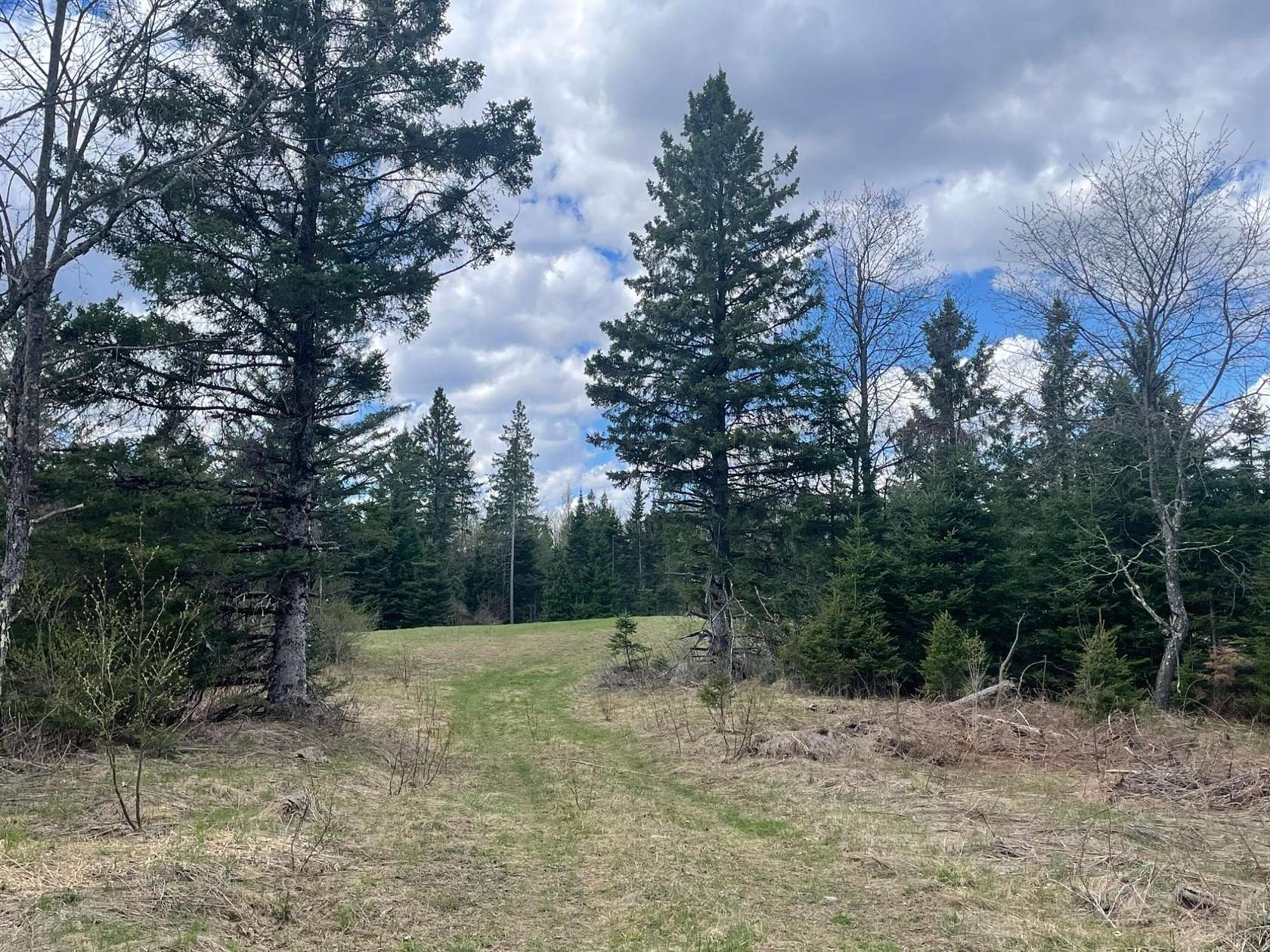 40 Acres of Recreational Land for Sale in Butternut, Wisconsin
