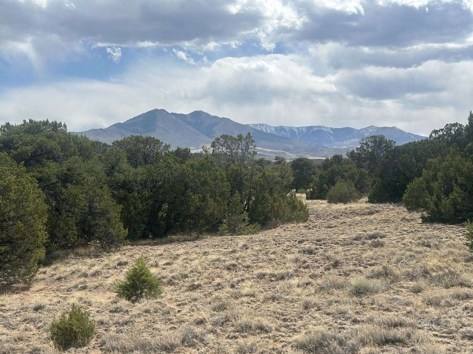 61 Acres of Land for Sale in Walsenburg, Colorado