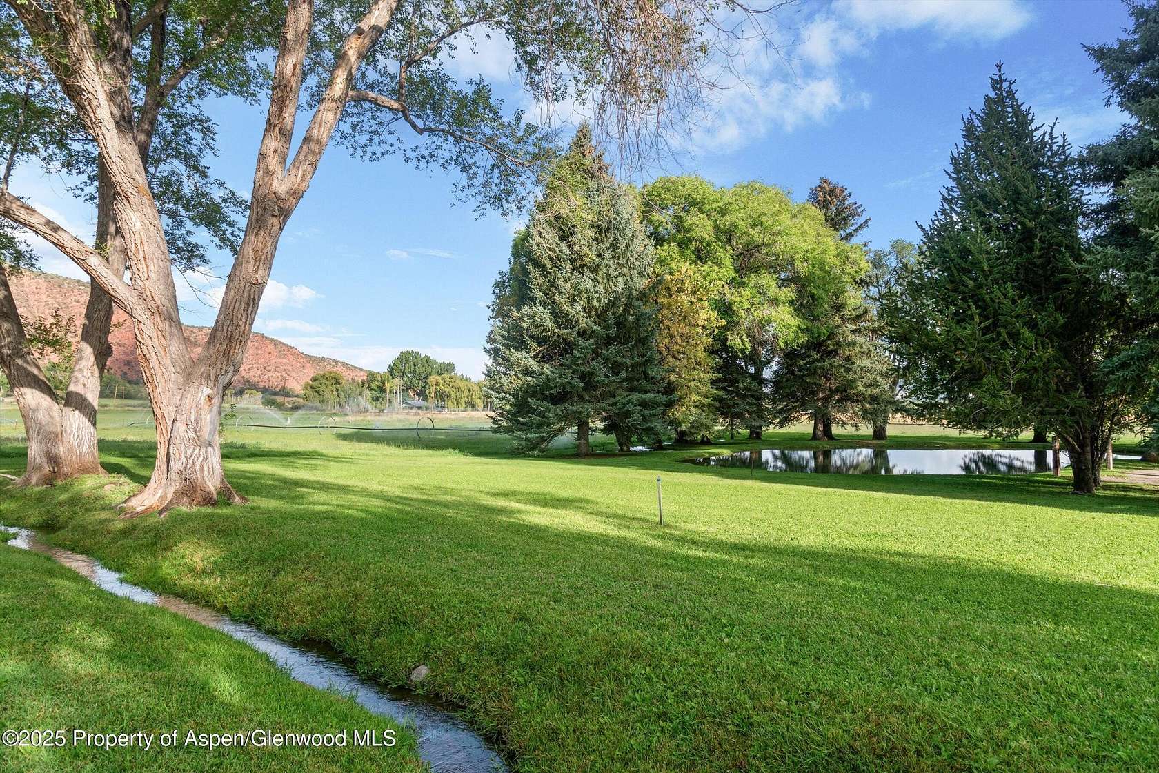 56.4 Acres of Agricultural Land for Sale in Basalt, Colorado