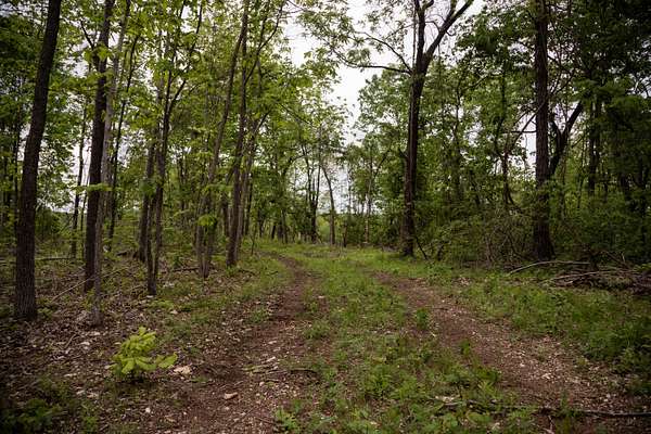 33.5 Acres of Recreational & Residential Land for Sale in Myrtle, Missouri