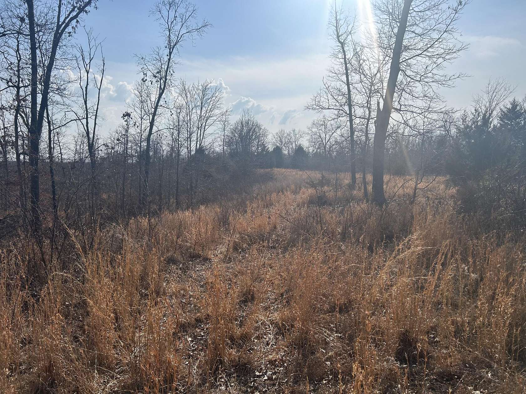 36 Acres of Recreational & Residential Land for Sale in Salem, Missouri