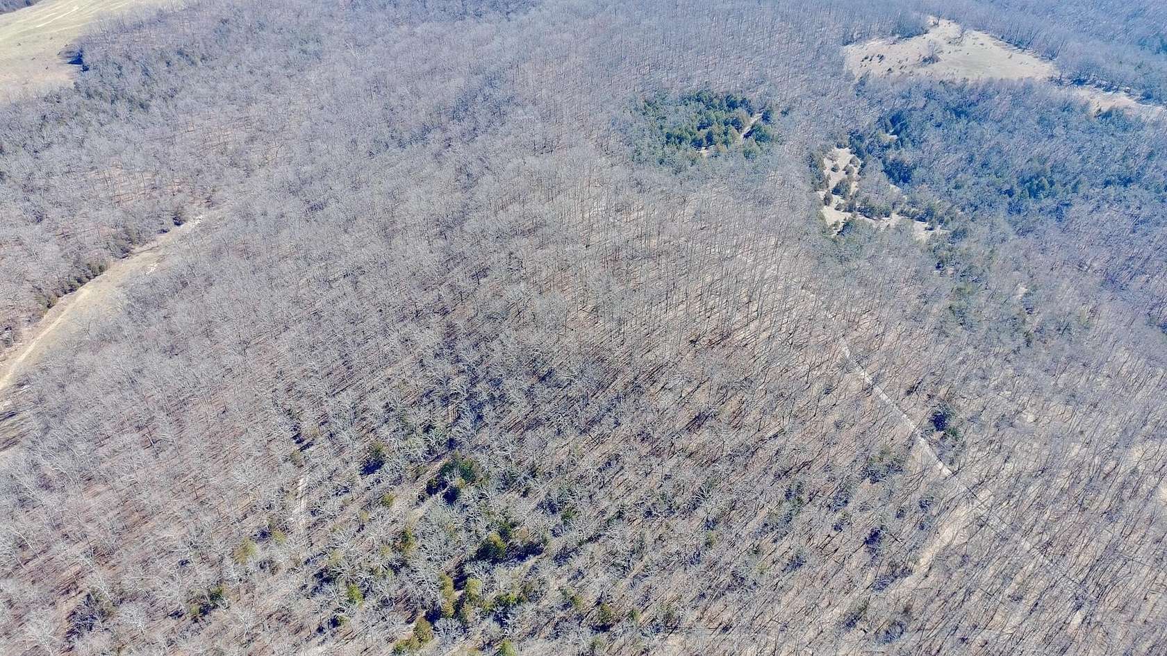 103 Acres of Recreational & Residential Land for Sale in Ava, Missouri
