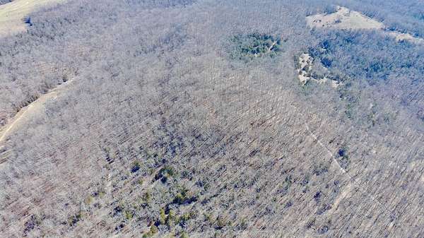 103 Acres of Recreational & Residential Land for Sale in Ava, Missouri