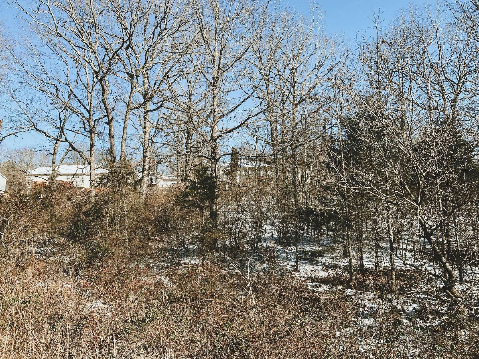 0.39 Acres of Land for Sale in West Plains, Missouri