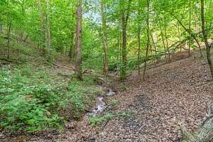 14.9 Acres of Recreational & Residential Land for Sale in Branson, Missouri