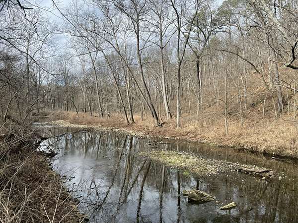 38 Acres of Recreational Land for Sale in Houston, Missouri