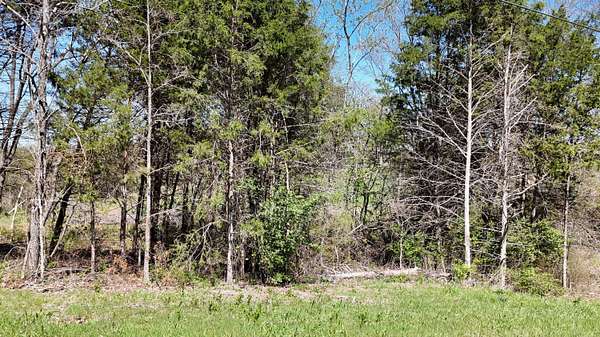 0.06 Acres of Land for Sale in Golden, Missouri