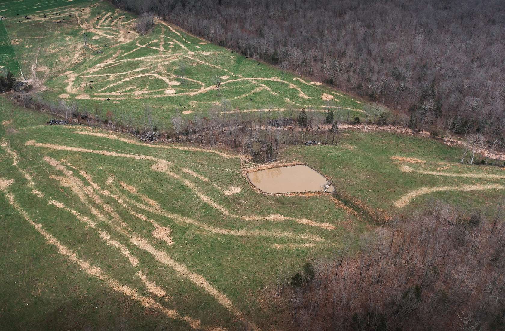 40 Acres of Agricultural & Residential Land for Sale in Licking, Missouri