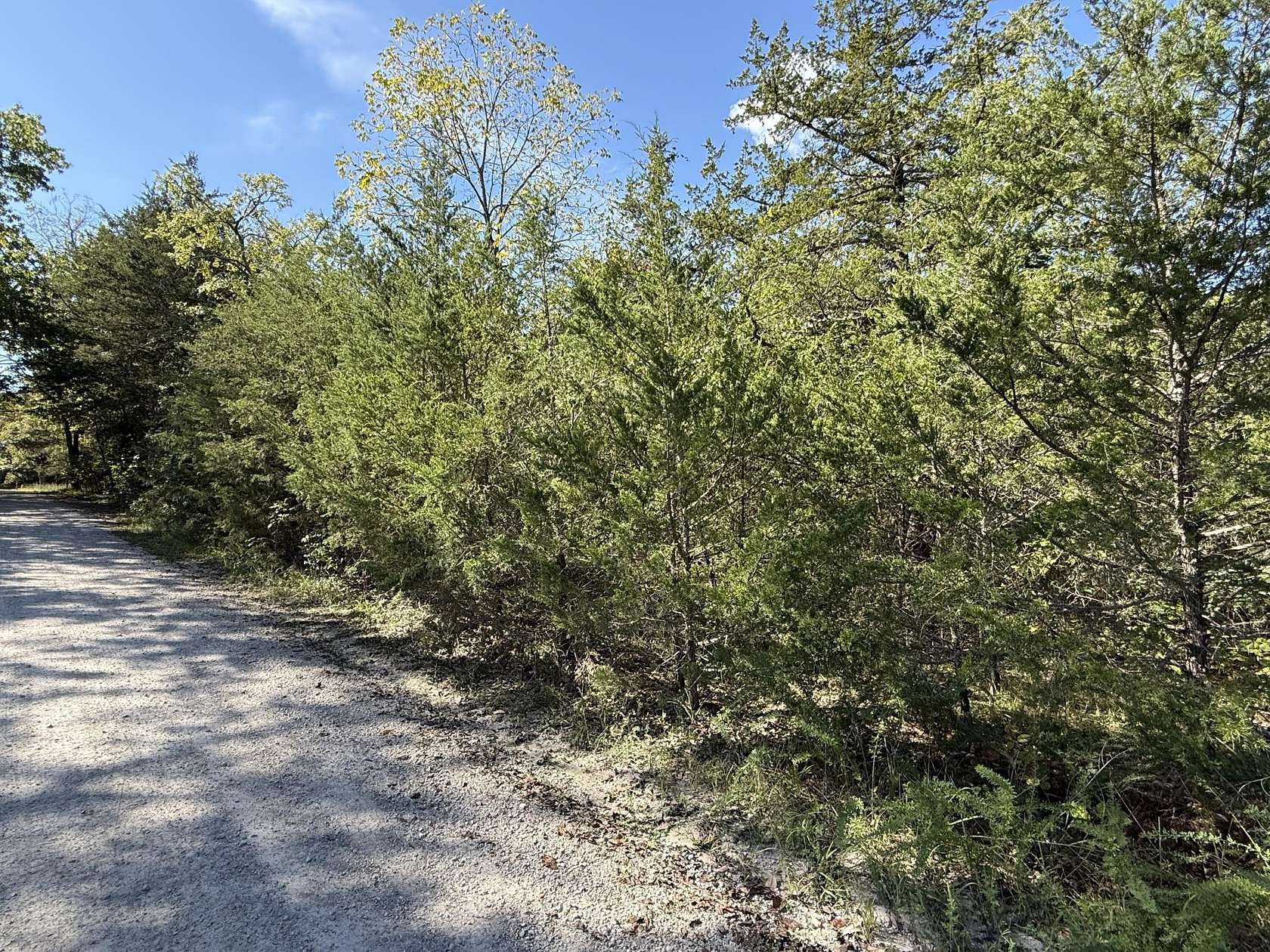0.69 Acres of Residential Land for Sale in Lampe, Missouri