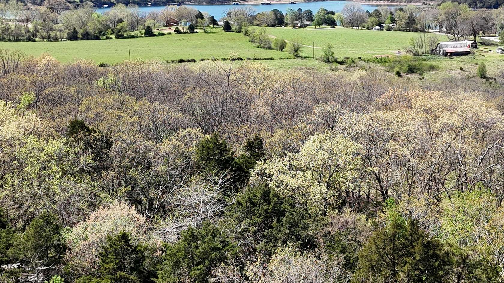 0.19 Acres of Land for Sale in Golden, Missouri