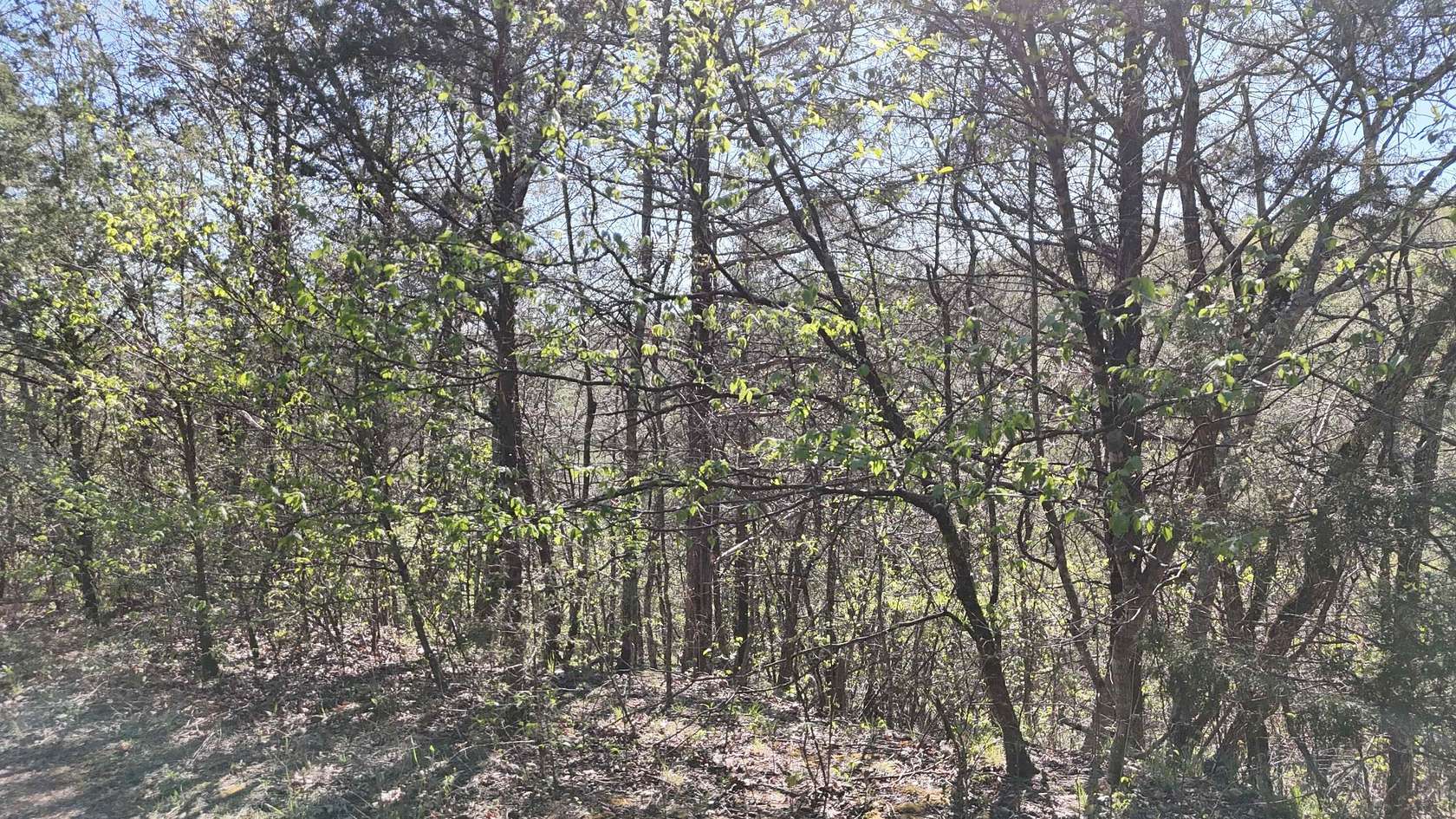 0.06 Acres of Land for Sale in Shell Knob, Missouri