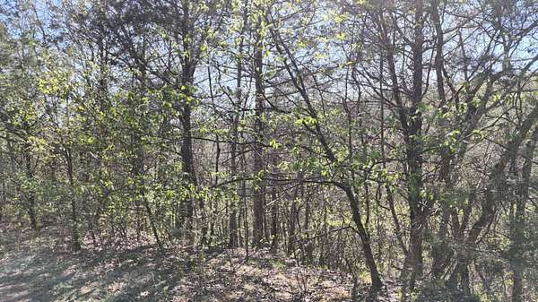 0.06 Acres of Land for Sale in Shell Knob, Missouri