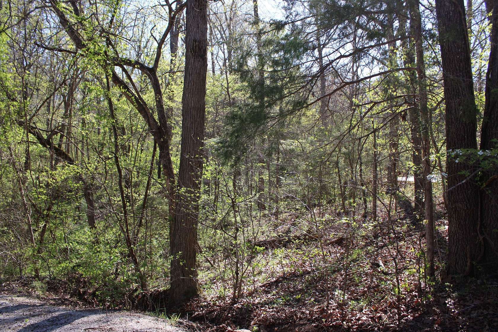 0.17 Acres of Land for Sale in Shell Knob, Missouri
