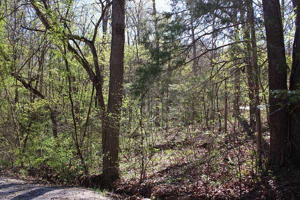 0.17 Acres of Land for Sale in Shell Knob, Missouri