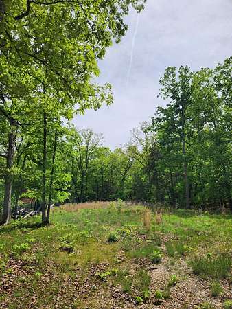 1.49 Acres of Land for Sale in Lampe, Missouri