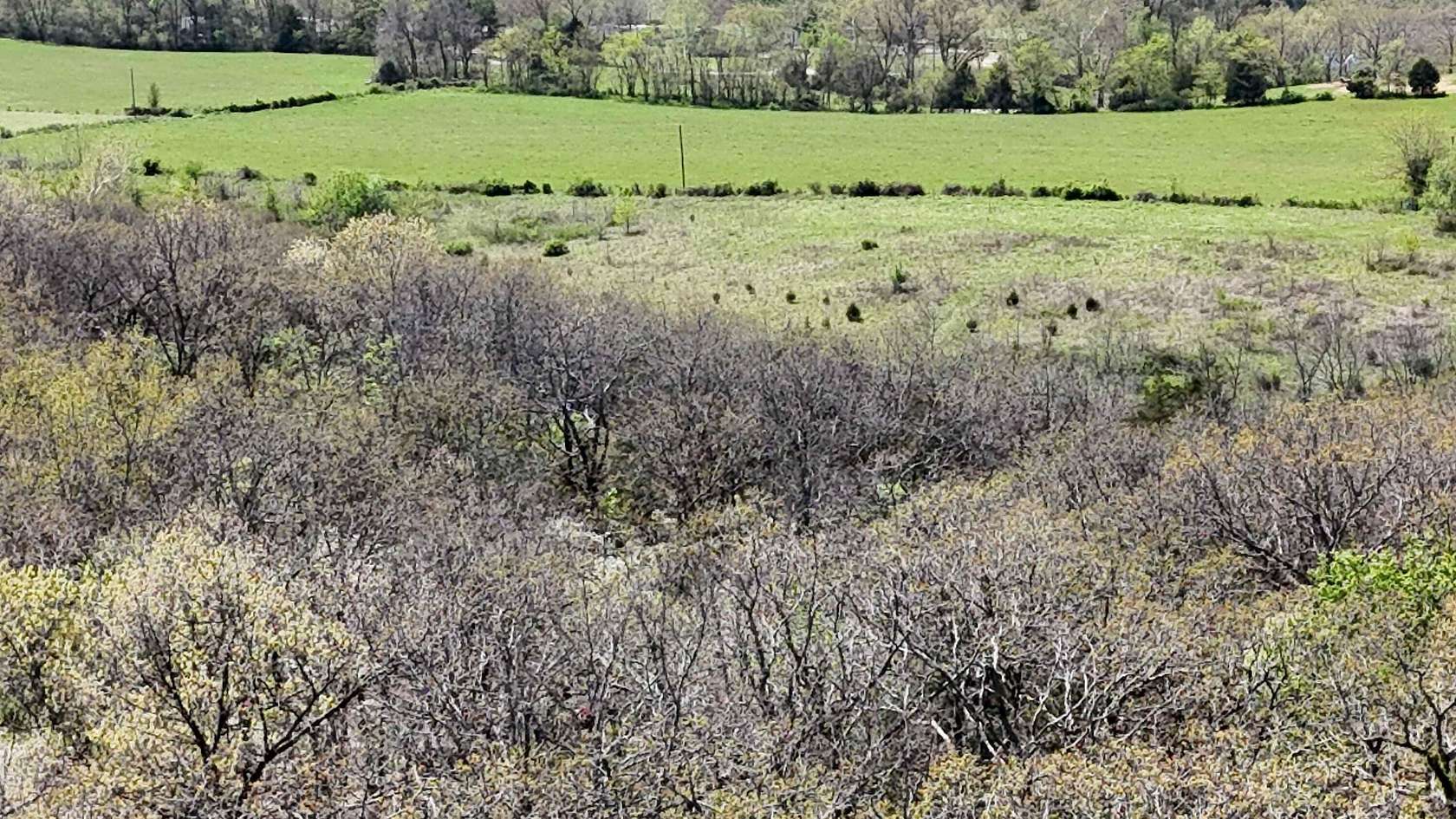 0.18 Acres of Land for Sale in Golden, Missouri