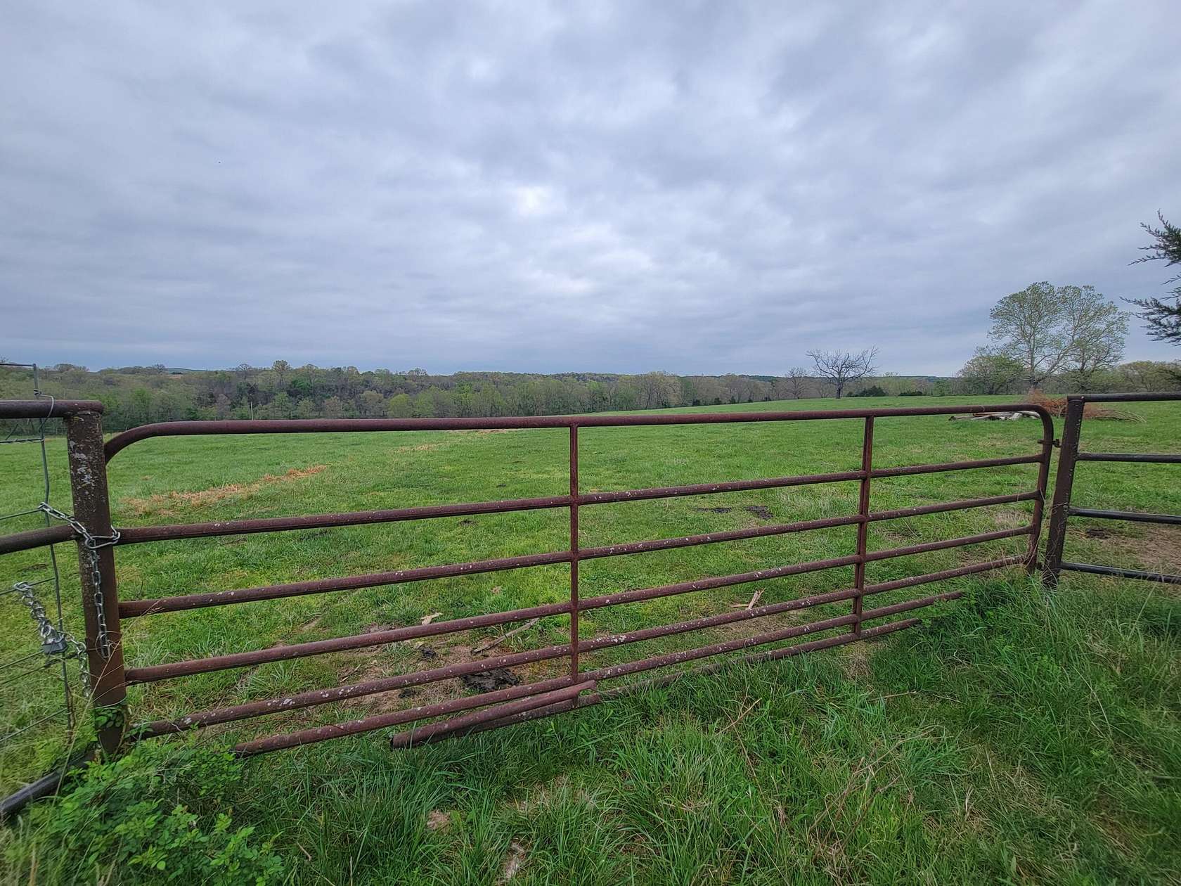 41 Acres of Agricultural & Residential Land for Sale in Wasola, Missouri