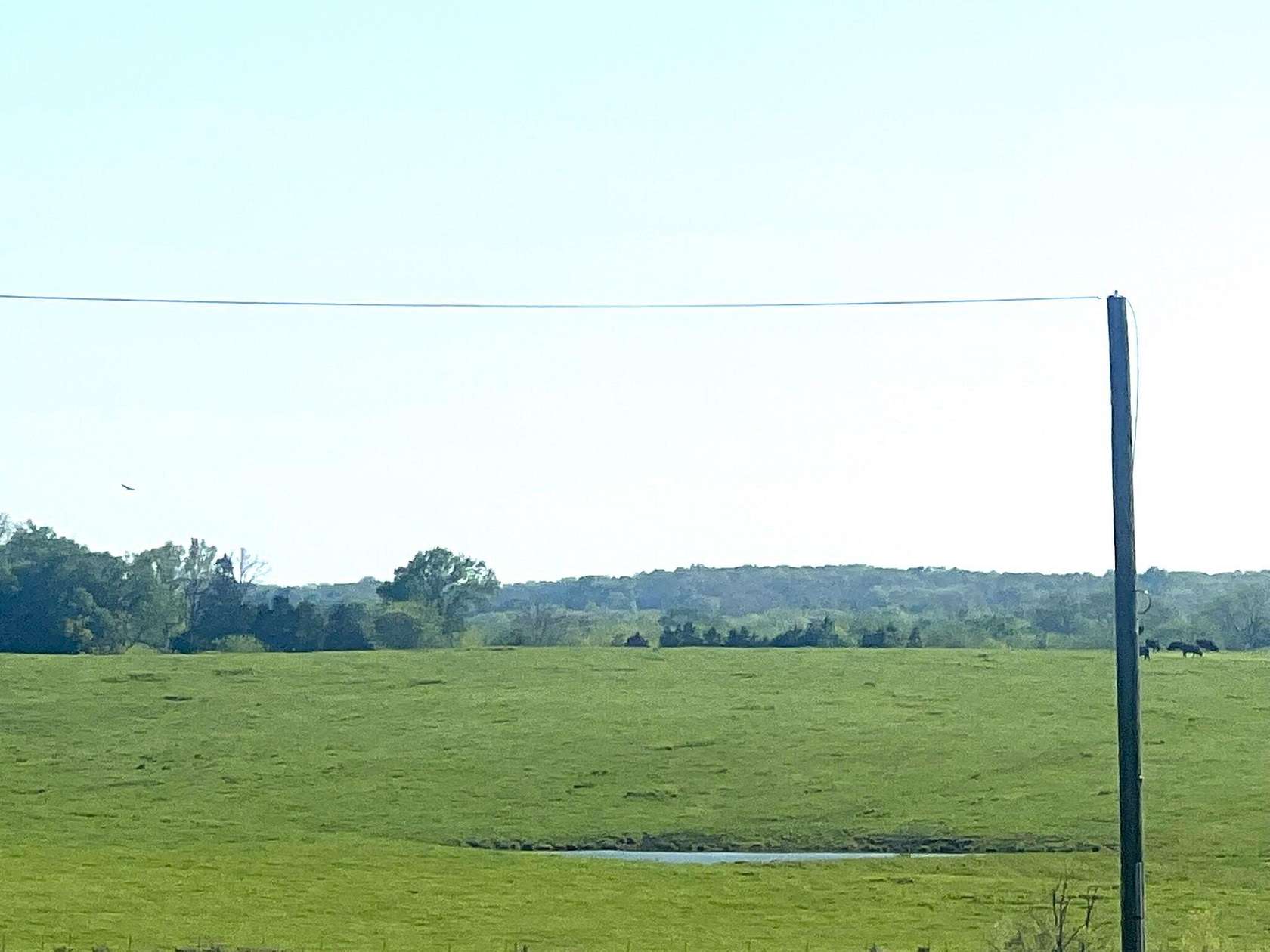 40 Acres of Commercial Land for Sale in Preston, Missouri