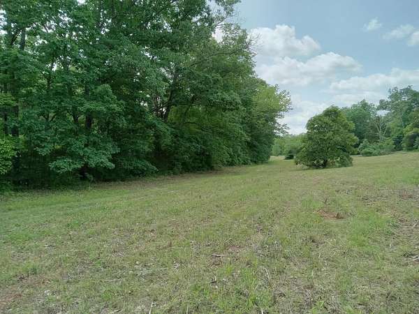 17 Acres of Land for Sale in Mansfield, Missouri