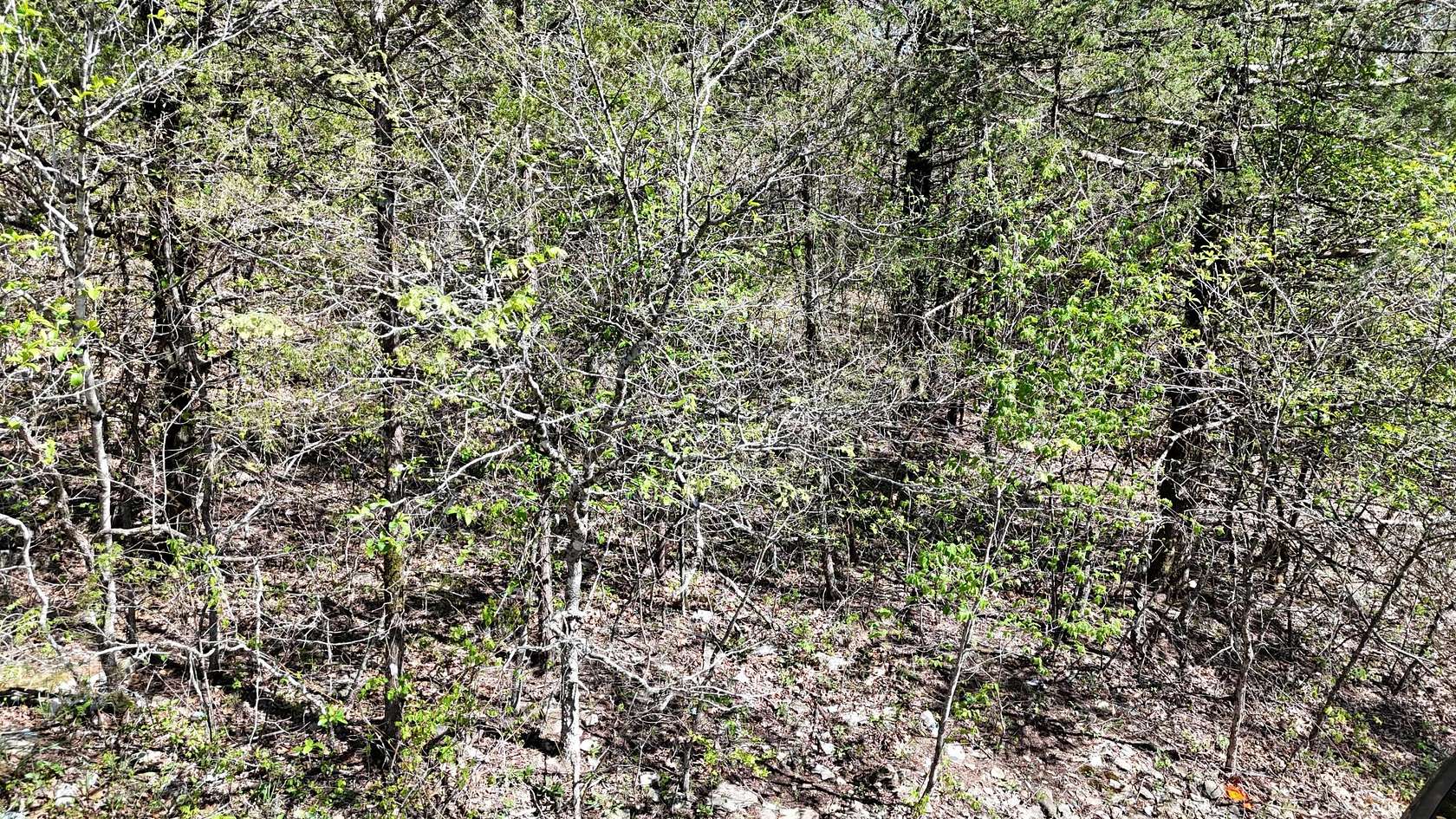 0.05 Acres of Land for Sale in Shell Knob, Missouri