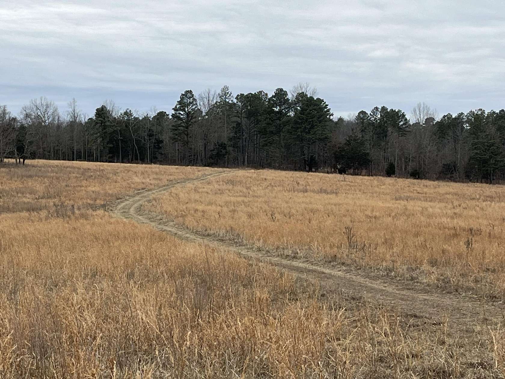 40 Acres of Recreational & Residential Land for Sale in Norwood, Missouri