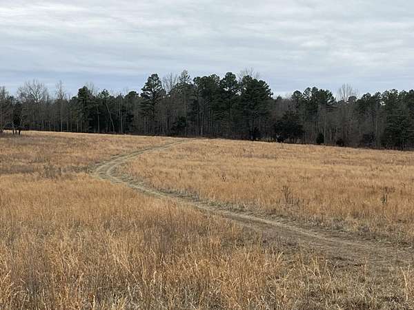 40 Acres of Recreational & Residential Land for Sale in Norwood, Missouri