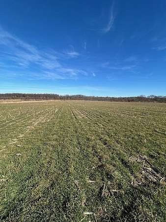 92.1 Acres of Agricultural Land for Sale in Pierce City, Missouri