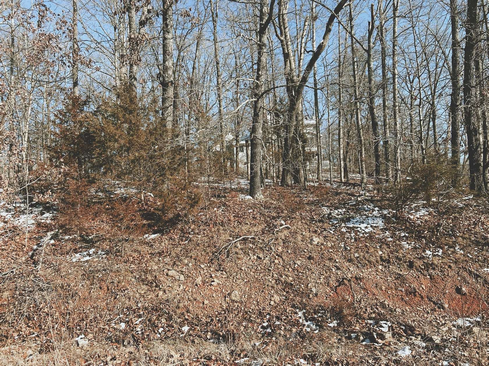 0.32 Acres of Land for Sale in West Plains, Missouri