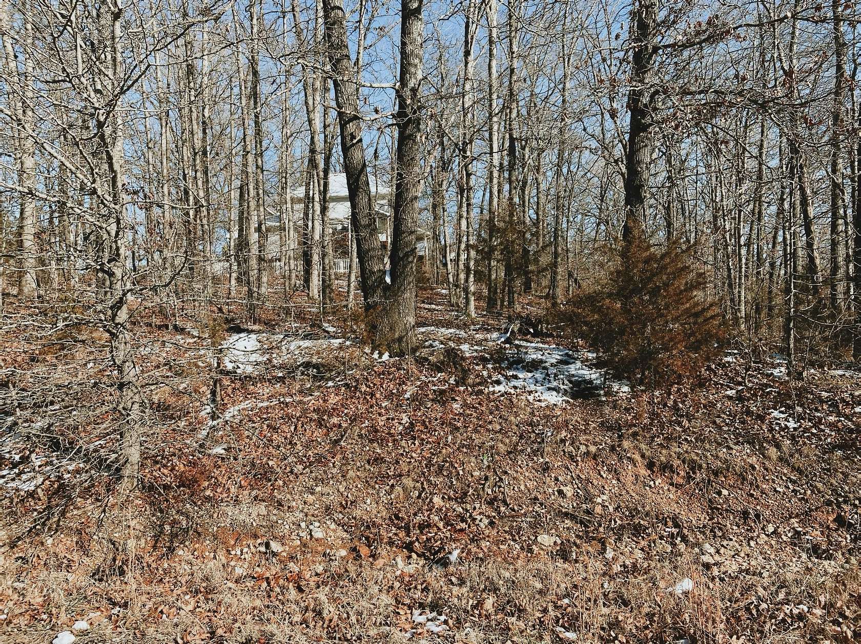 0.33 Acres of Land for Sale in West Plains, Missouri