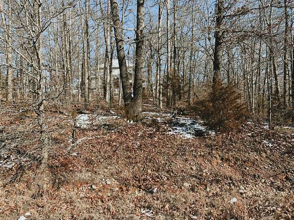 0.33 Acres of Land for Sale in West Plains, Missouri